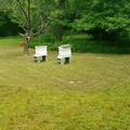 Hive Boxes