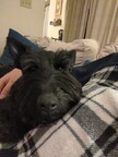 Hudson